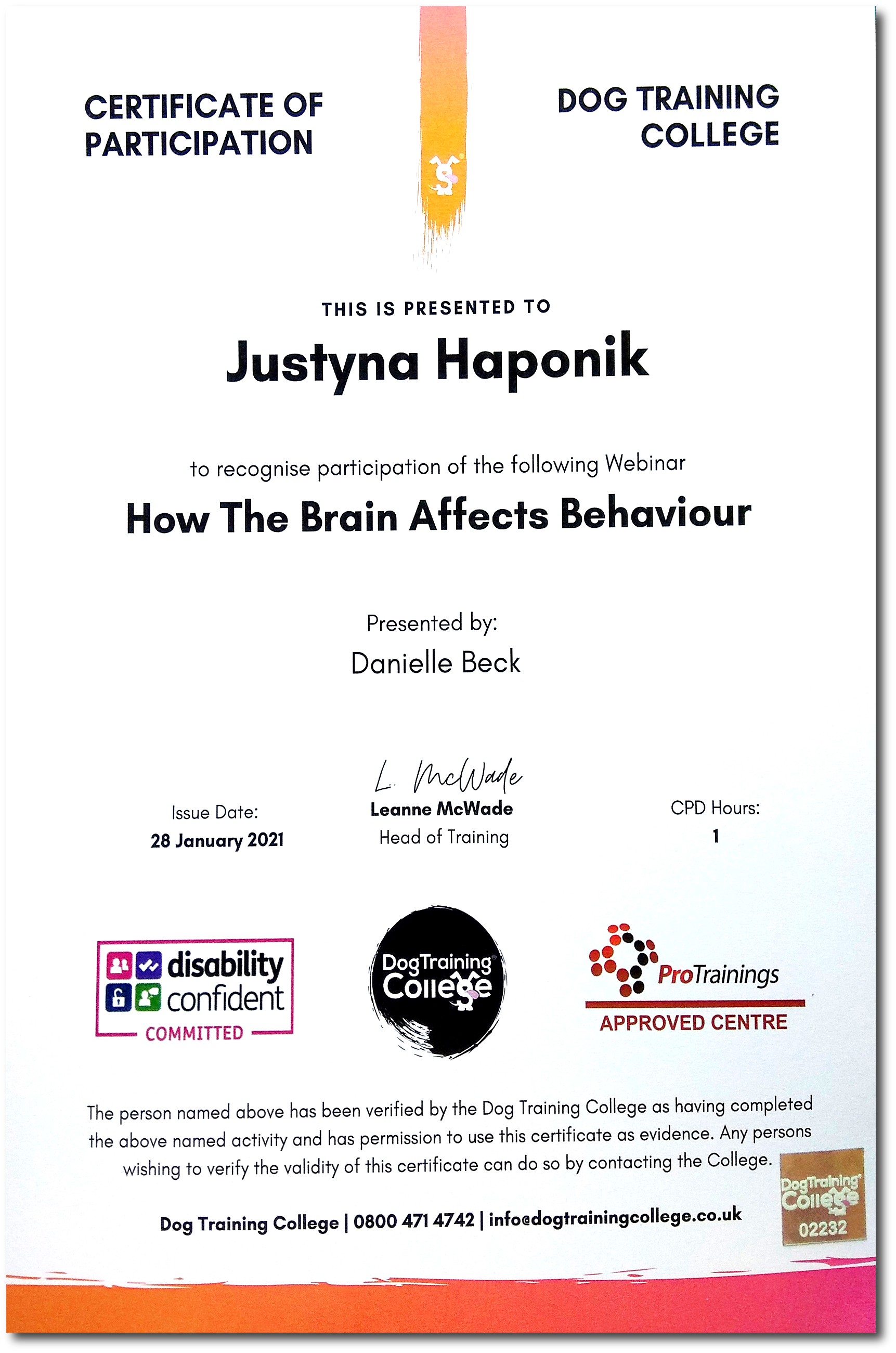 dyplom How The Brain Affects Behaviour